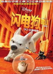 闪电狗在线观看 第1张 闪电狗在线观看 第1张